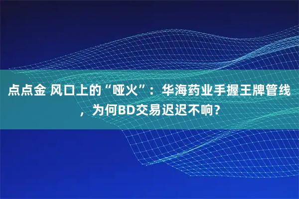 点点金 风口上的“哑火”：华海药业手握王牌管线，为何BD交易迟迟不响？